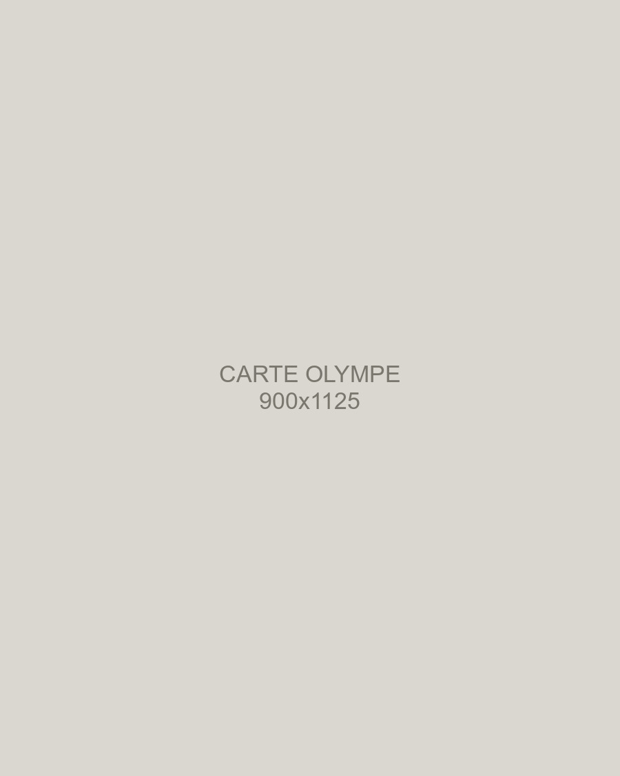 Olympe, femelle spitz moyen orange retraitée, portrait en pied