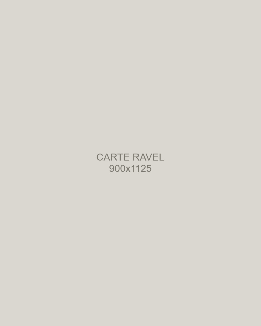 Ravel, mâle spitz moyen orange, portrait en pied