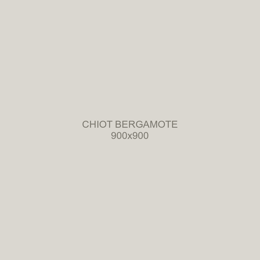 Bergamote, chiot femelle spitz moyen de la portée B