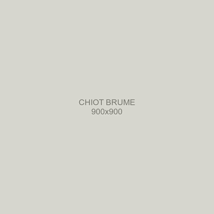 Brume, chiot femelle spitz moyen de la portée B